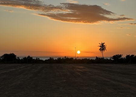 IMG_1382